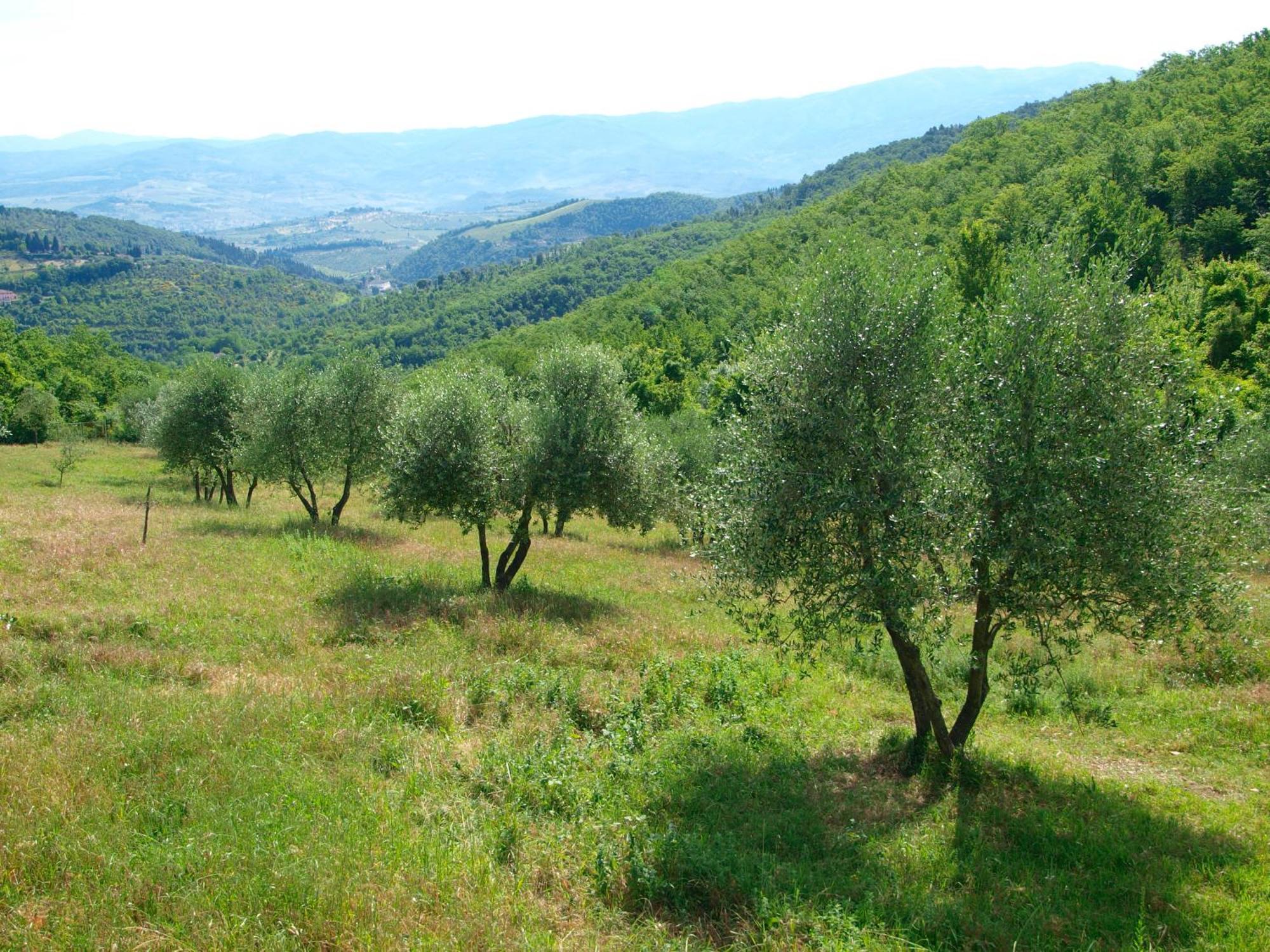 Bed and Breakfast Casignano Bagno a Ripoli Zimmer foto
